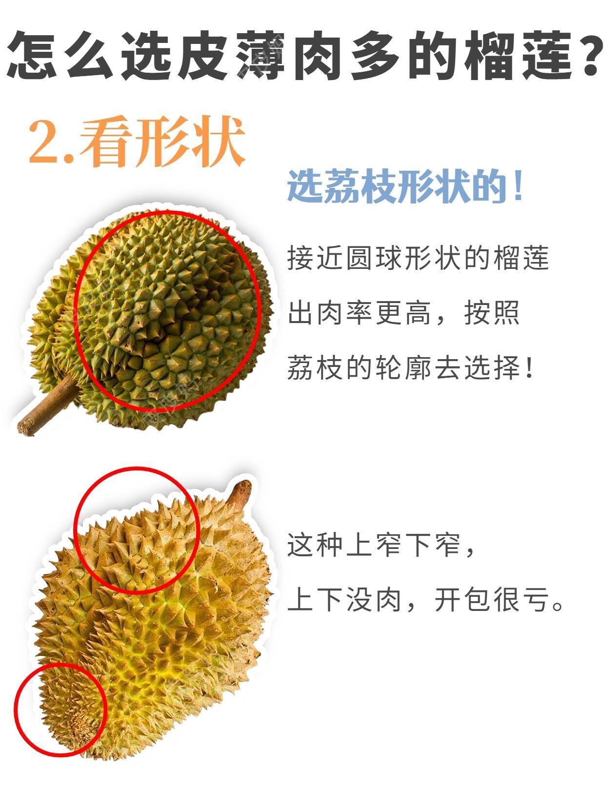 荔枝榴蓮價格跳水近30%