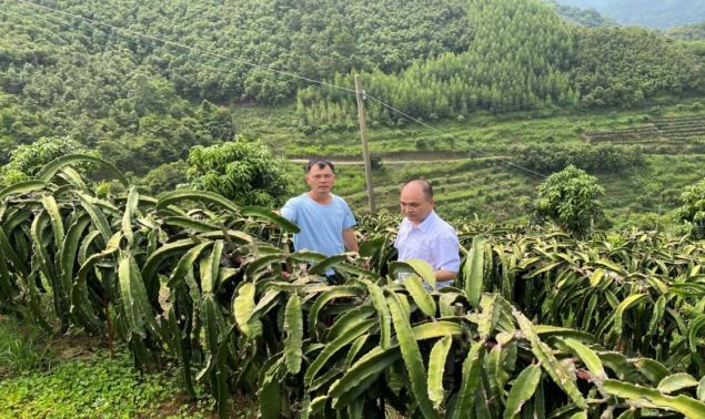 金融“活水”如何精準澆灌小微企業？破解融資難題的5大關鍵策略！