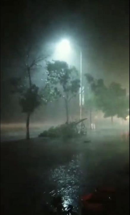 震驚！河南冰雹致小麥顆粒無收？假的！真相究竟如何？